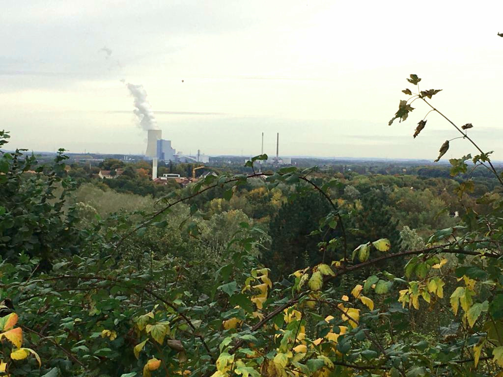 Blick auf Datteln IV