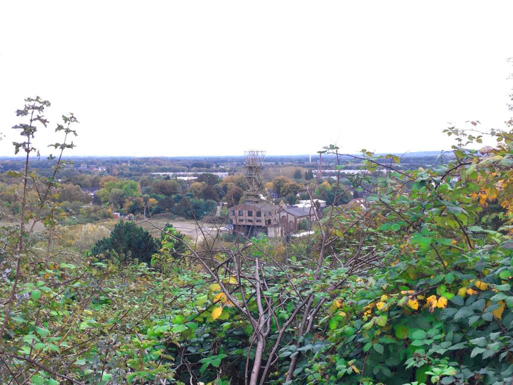 Aussicht von der Halde